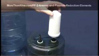 Berkey PF2 Arsenic amp Fluoride Filter [upl. by Ayeka]