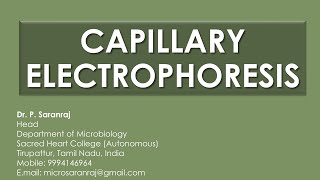 Capillary Electrophoresis CE [upl. by Lilahk455]