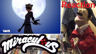 Miraculous Ladybug Season 4 Episode 23 Kuro Neko Reaction Puppet Reaction [upl. by Arikal]