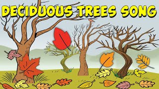 Deciduous Trees Song [upl. by Ailekat]