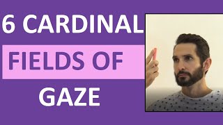 Six Cardinal Fields of Gaze Nursing  Nystagmus Eyes Cranial Nerve 346 Test [upl. by Egide]