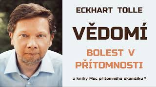 Eckhart Tolle  Moc přítomného okamžiku  Vědomí Osvobození od bolesti  5 Bolest v přítomnosti [upl. by Nylave]