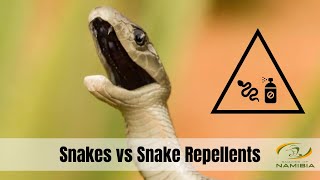 Snakes vs Snake Repellents Does it Really Work [upl. by Godbeare]