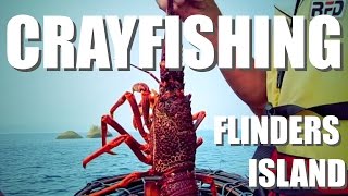 How we caught a crayfish lobster on Flinders Island [upl. by Ahsiyk]