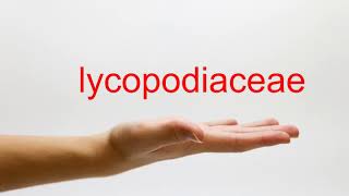 How to Pronounce lycopodiaceae  American English [upl. by Lorene188]