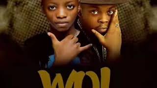 Destiny Boy  Wo Olamide Cover Official Audio [upl. by Phyl]