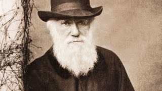 Planet Wissen  Charles Darwin und die Artenvielfalt [upl. by Jocelyne]