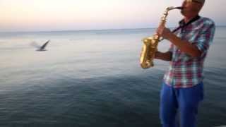 Romantic Saxophone at dawn [upl. by Tailor]