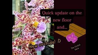 Quick update on the new floor and some NEW orchids D [upl. by Joshuah333]