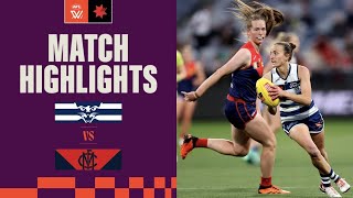 Geelong v Melbourne Highlights  Round 5 2023  AFLW [upl. by Bidget]