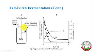 Batch Fedbatch amp continuous culture system  Mode of fermentation  Chemostat amp Turbidostat [upl. by Phylys]