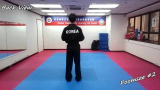 Taekwondo  Poomsae 2 Yi Jang Slowmotion amp Mirror [upl. by Arjun]