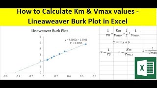 How to calculate Km and Vmax values  Lineweaver Burk plot in Excel [upl. by Haneeja]