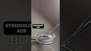 Hydrochloric and more acid experiment experiment chemical chemistry education shorts youtube [upl. by Nielson165]