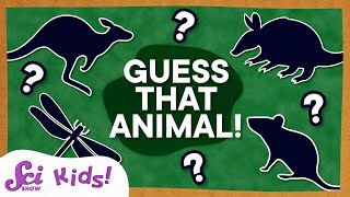 Animal Guessing Game  Compilation  SciShow Kids [upl. by Nefen]