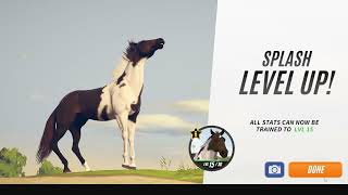 rival stars horse racing desktop edition  more racing [upl. by Nnaeiram]