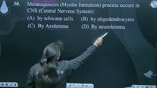 Melanogenesis Myelin formation process occurs in CNS Central Nervous System [upl. by Jemine967]