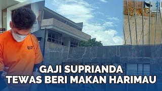 Pekerjaannya Beresiko Segini Gaji Suprianda ART yang Tewas Gegara Harimau Majikan Sebanding [upl. by Borgeson]