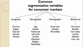 Market Segmentation Introduction [upl. by Tiny]