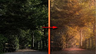 Lets Edit an Autumn Photo in Lightroom  Tutorial Tuesday [upl. by Rochemont213]