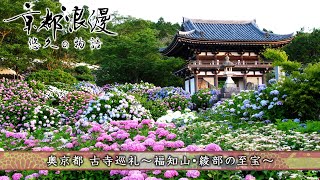 【BS11KBS京都】「京都浪漫 悠久の物語」第156回「奥京都 古寺巡礼～福知山・綾部の至宝～」（BS11で2024年10月21日放送分） [upl. by Winebaum]