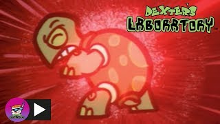 Dexters Laboratory  Techno Turtle  Cartoon Network [upl. by Kcirdled]