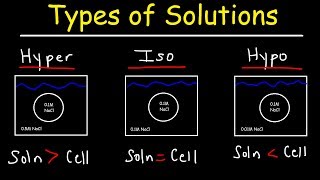 Hypertonic Hypotonic and Isotonic Solutions [upl. by Lynnworth]