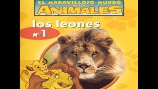 El maravilloso mundo de los animales de Disney Los leones [upl. by Ordnas]