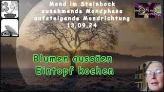 Mond im Garten  Blumen aussäen und MondREZEPT  Eintopf kochen [upl. by Pineda978]