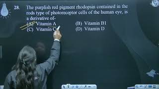 The purplish red pigment rhodopsin contained in the rods type of photoreceptor cells of the huma [upl. by Ardnassela986]