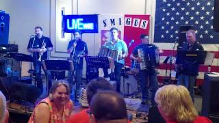 LIVEwire  Ive Just Seen A Face Polka  Dyngus Day 2024 [upl. by Veron434]