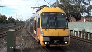 Trains at Kingsgrove  Sydney Trains [upl. by Maxama]