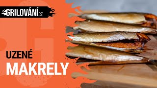 Recept z UDÍRNY Uzené 🐟 makrely v elektrické udírně Bradley [upl. by Syxela300]