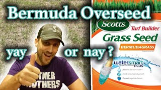 Overseeding Bermudagrass  Should You Overseed a Bermuda Lawn  How To Fill In Bare Spots in Lawn [upl. by Toinette]