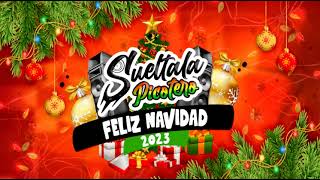 Feliz Navidad 2023  SueltalaPicotero [upl. by Terrel]