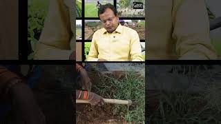 Nematode Control  सूत्रकृमि से बचाव  Gaon Connection [upl. by Nylirem]