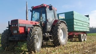 Case IH 1056 XL bei der Maisernte HD  Sound [upl. by Leis858]