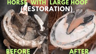 Shire Horse  Complete restoration  Shire Horse Restoration Compilation [upl. by Tisdale]