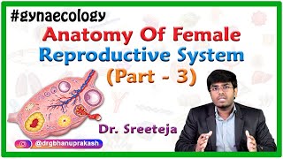 Anatomy of Female reproductive system Part 3  Fallopian Tubes and Ovaries  OBG Lectures FMGE [upl. by Attenad]