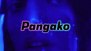 Pangako Official Lyrics Video  Lorenzo Band [upl. by Millhon]