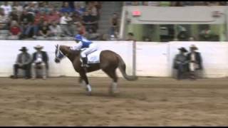 2010 Freestyle Reining Winner [upl. by Mirielle]