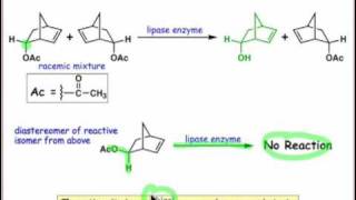 2004 Substrate Specificity [upl. by Brown]