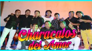 ☆Characatos del amor ✔ MIX ALEGRIA 2016 oficial ☆ [upl. by Yank]