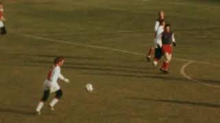 Goal Johan Neeskens 14011973 Haarlem  Ajax [upl. by Nodgnal]