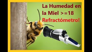 ¿Como utilizar un refractómetro para miel y para que sirve🐝🍯 [upl. by Euqinoj]