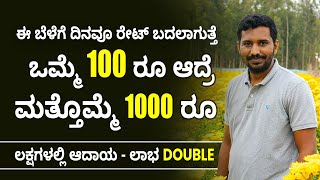 Floriculture Farming in Kannada  How Profitable is Flower Farming  Floriculture Farming Details [upl. by Munmro]