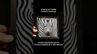 Safart Zebra  3D Printed Depth Effect Art [upl. by Beghtol]