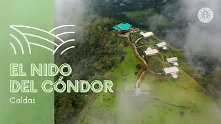 Cómo y dónde es el nido del Cóndor en Colombia [upl. by Alliuqaj]