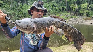 Extreme fishing expedition for Wolf fish  Deep in the jungle of Suriname [upl. by Cyrie477]