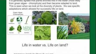 Introduction to Plant Diversity [upl. by Aland]